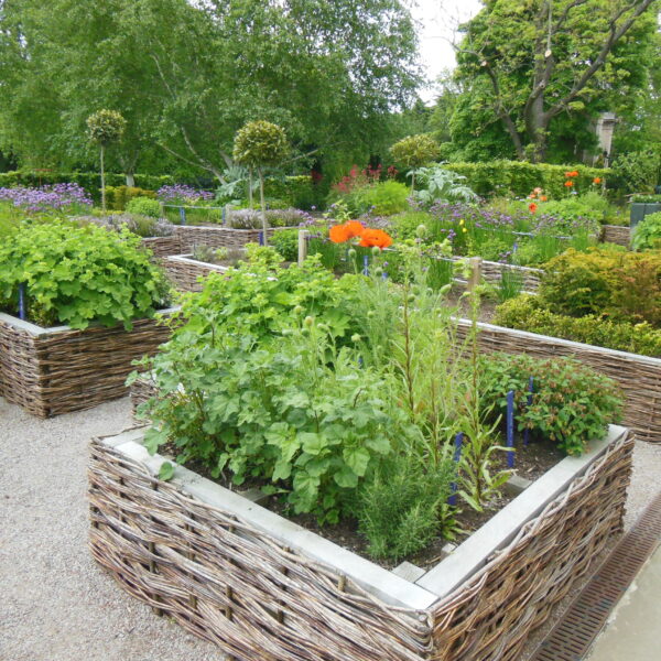 Recreation of historic Physic Garden at Palace of Holyrood House, Edinburgh