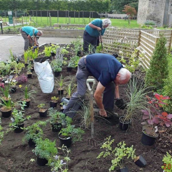 Royal Caledonian Horticultural Society, planting of new demonstration garden