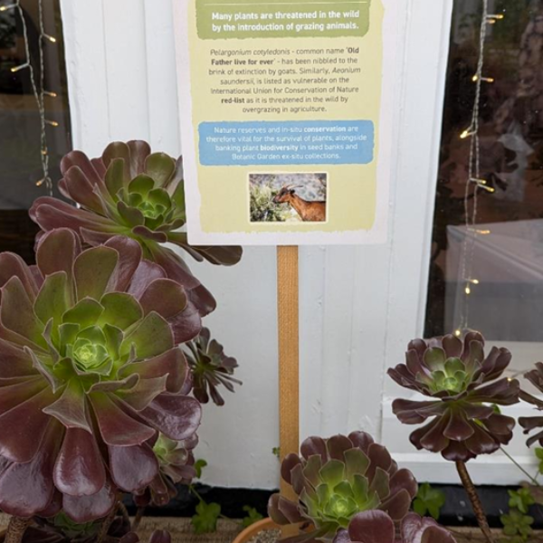 Birmingham Botanical Garden