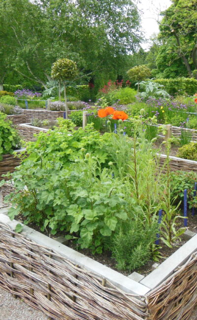Recreation of historic Physic Garden at Palace of Holyrood House, Edinburgh